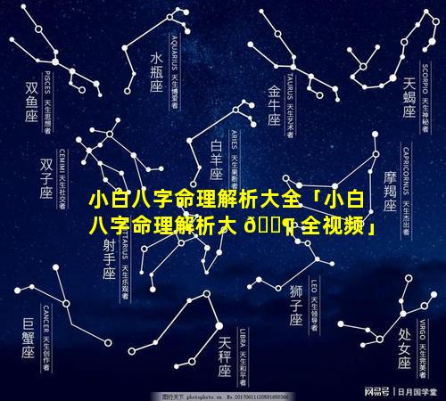 小白八字命理解析大全「小白八字命理解析大 🐶 全视频」